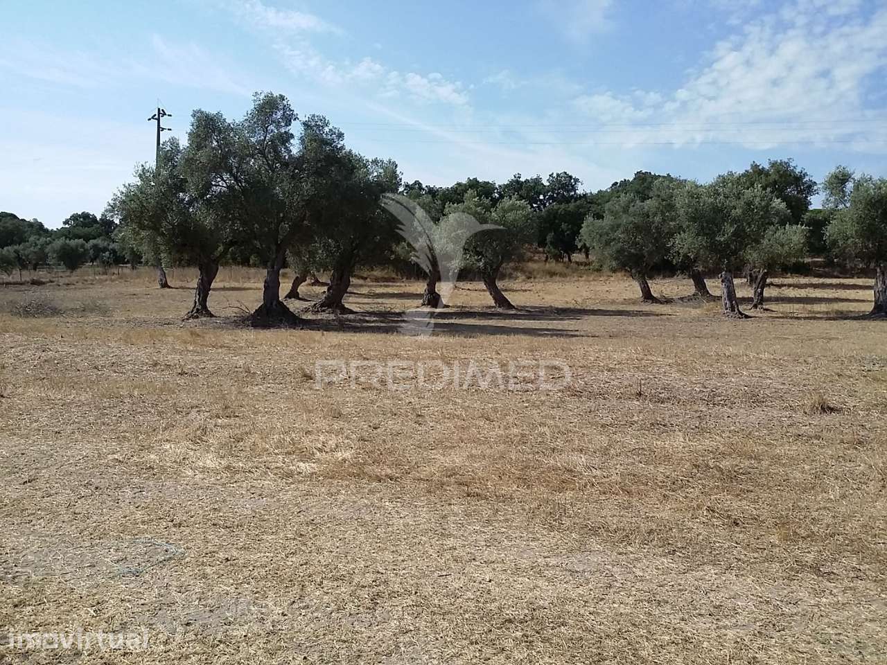 Propriedade -Terreno Rustico  em Vale Sobrigo - Grande imagem: 2/6