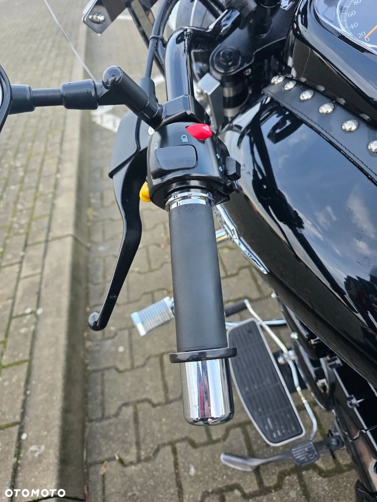 Suzuki Intruder - 10