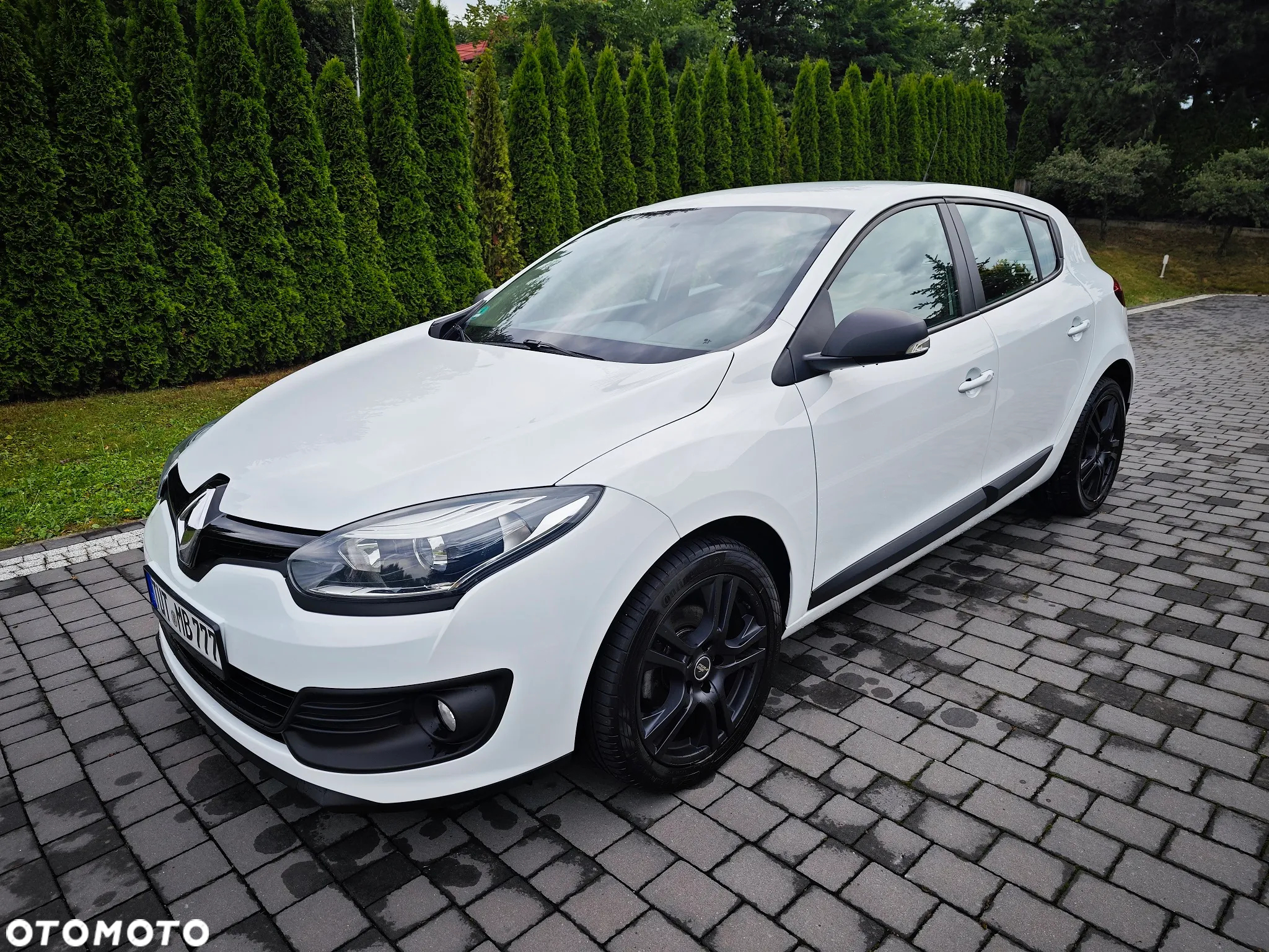 Renault Megane 1.6 16V 110 Authentique - 12