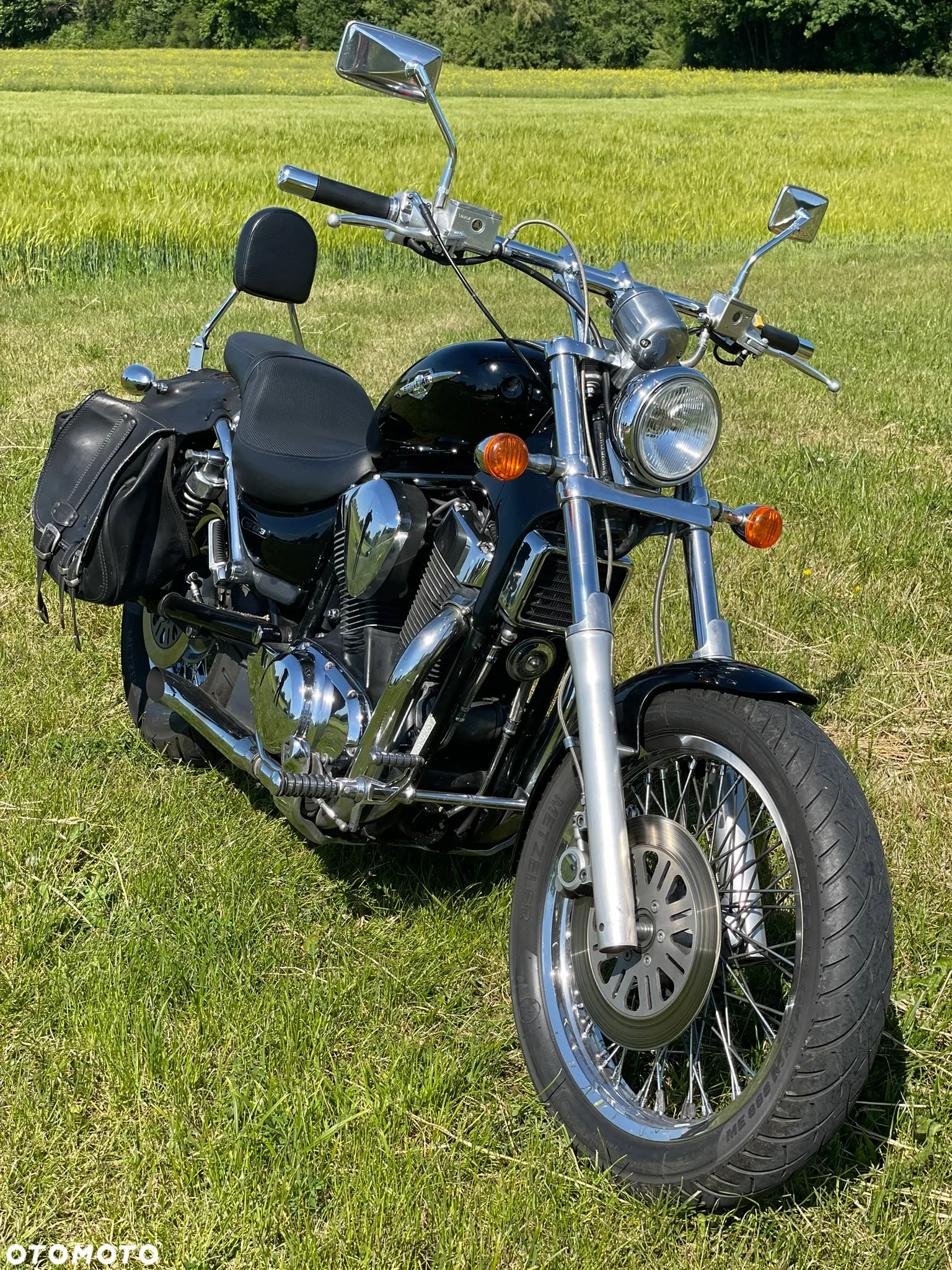 Suzuki Intruder - 5