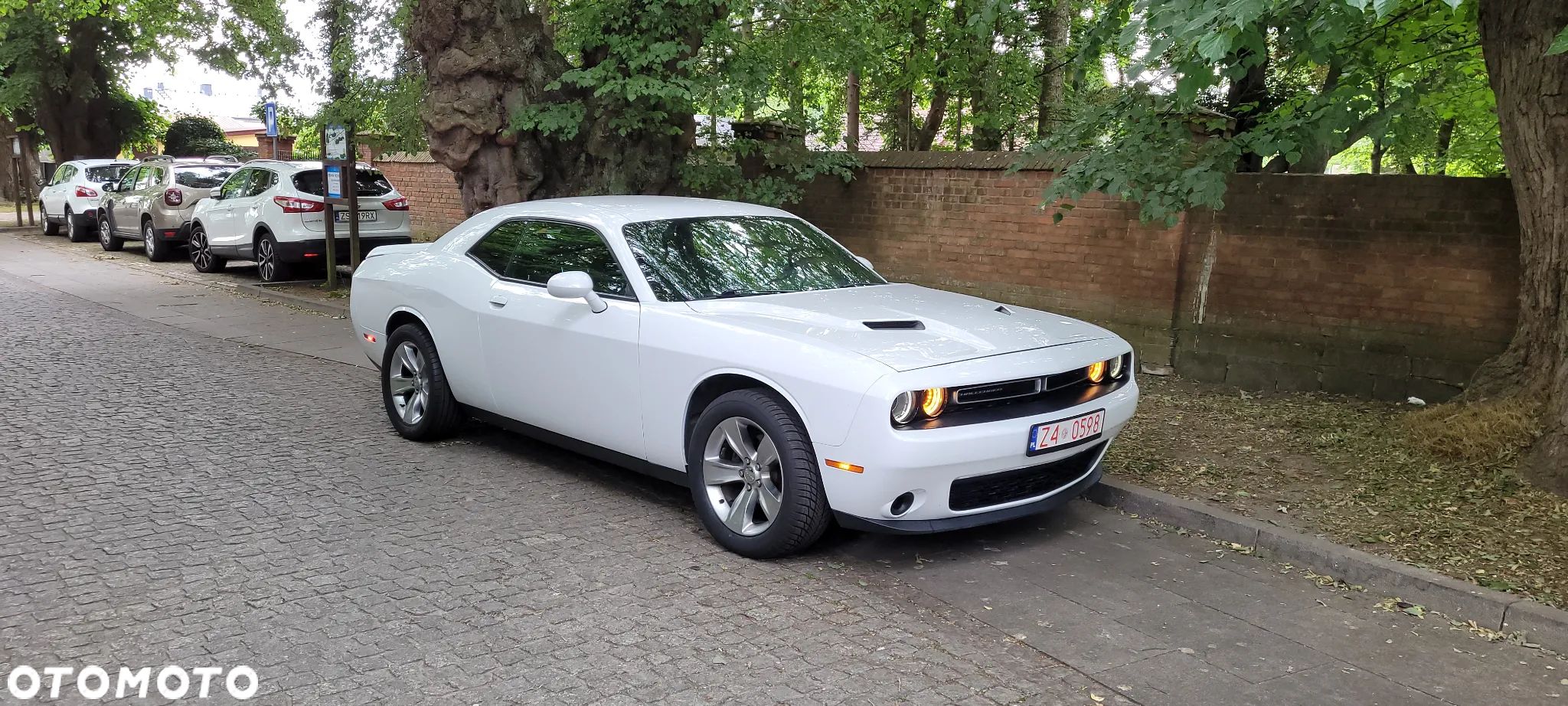 Dodge Challenger - 1
