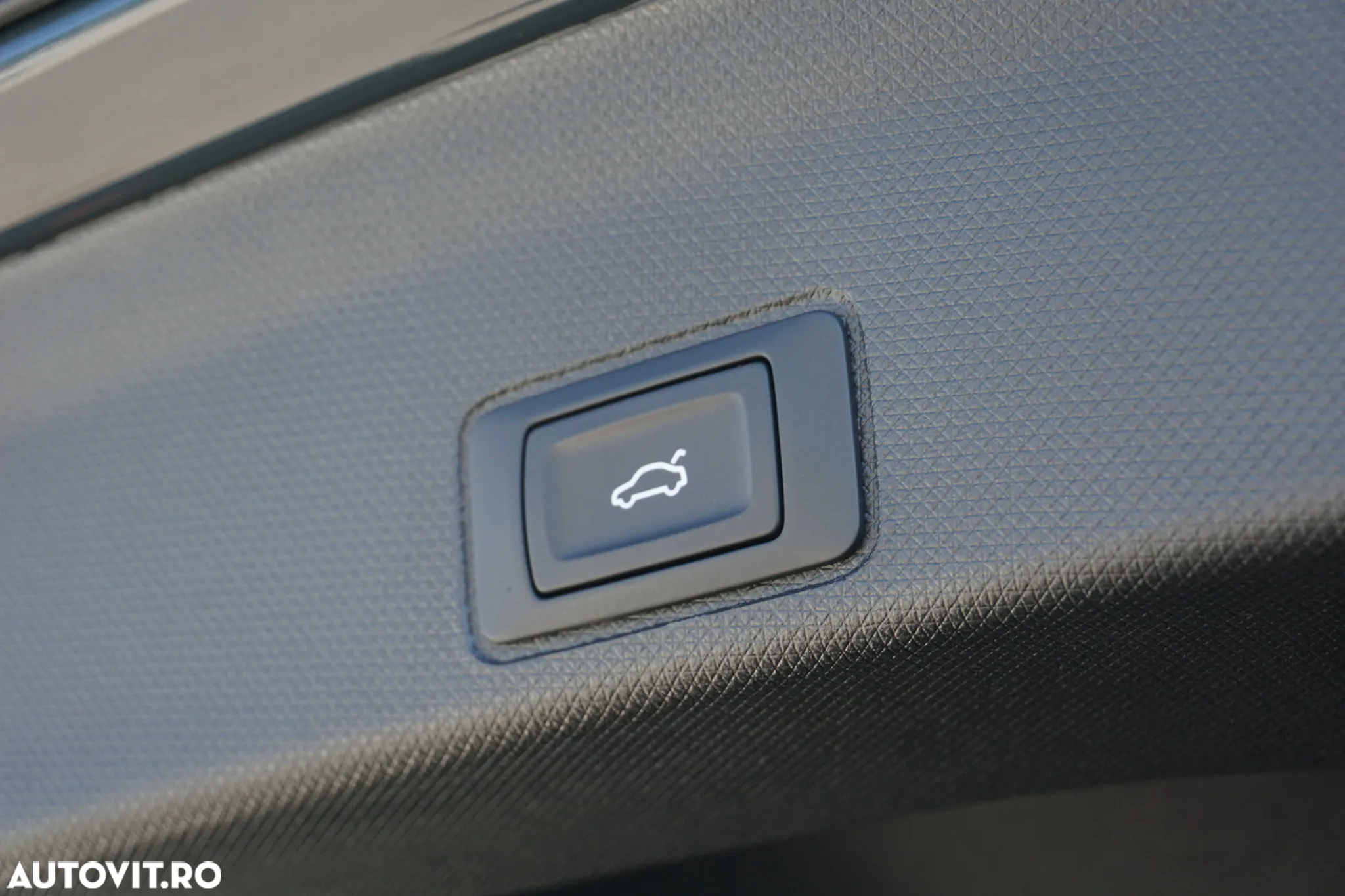 Cupra Terramar - 38