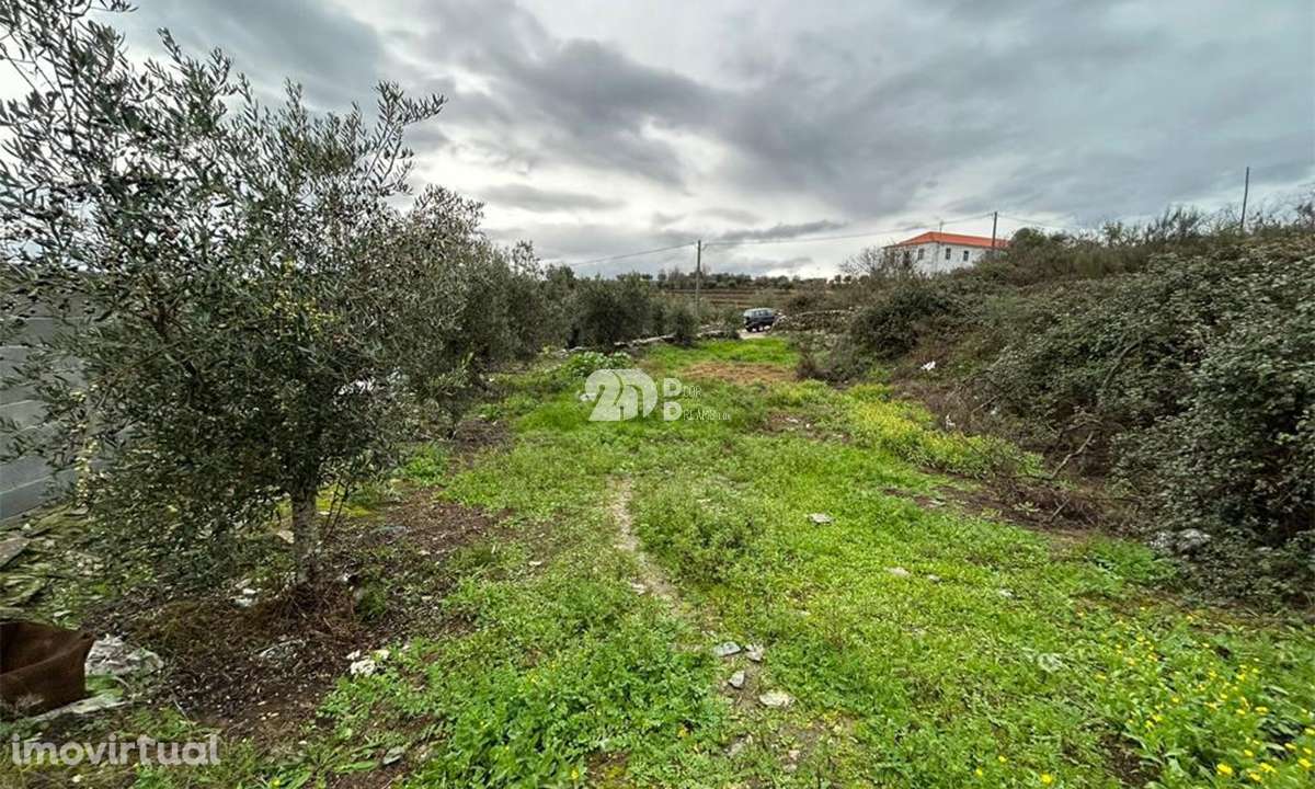 Terreno 2.000m² - Baldornas - Grande imagem: 5/10