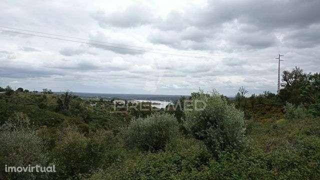 Monte Alentejano em Montargil. - Grande imagem: 5/22
