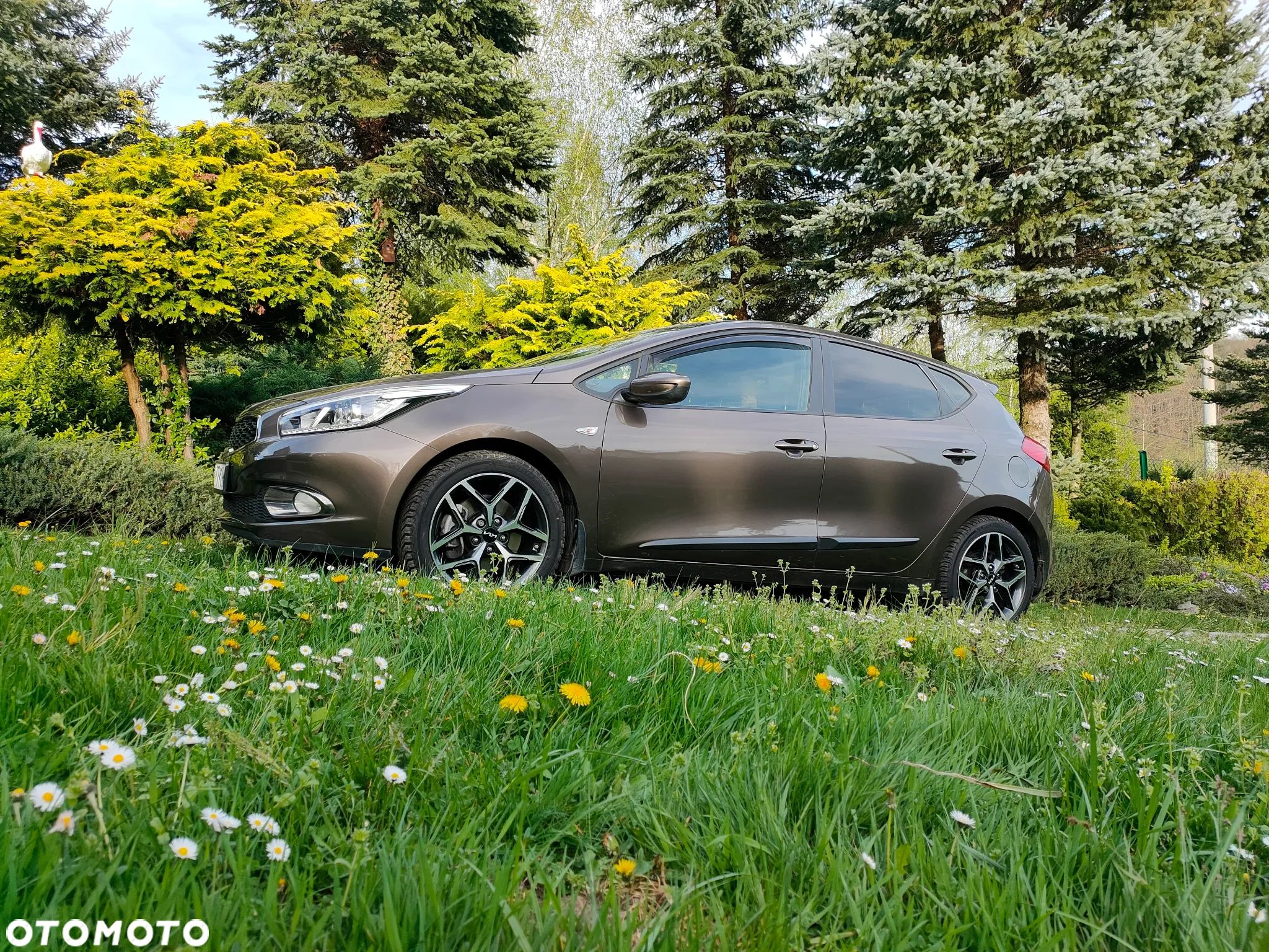 Kia Ceed Cee'd 1.6 GDI M - 1