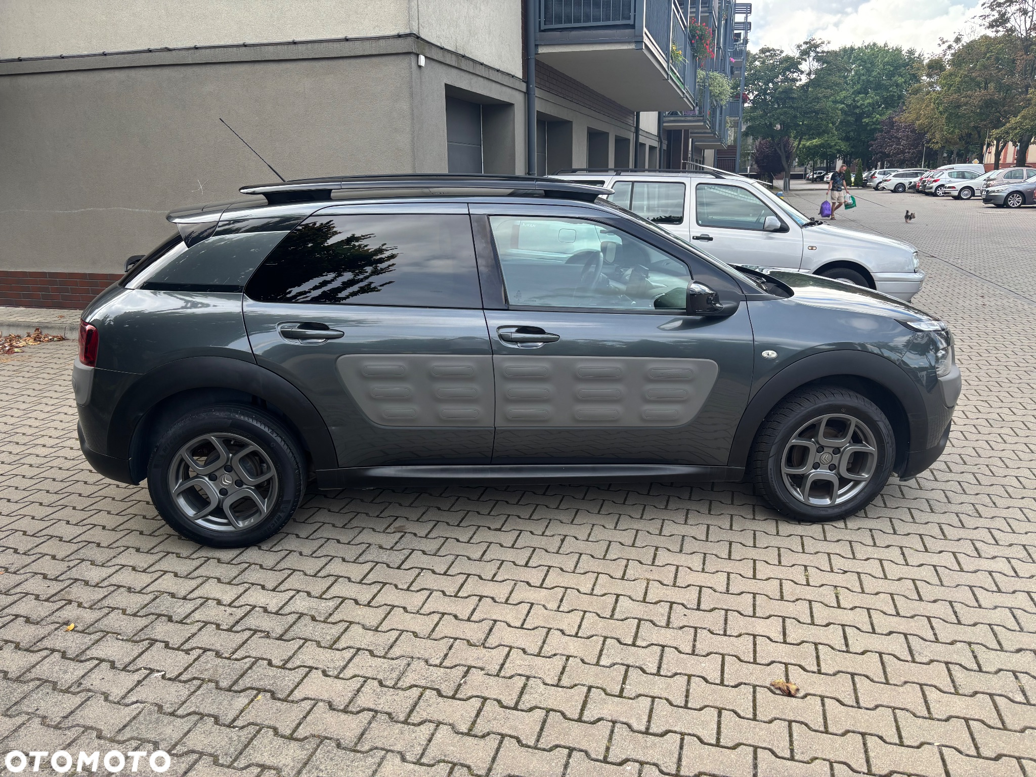 Citroën C4 Cactus 1.2 PureTech Shine S&S ETG - 18