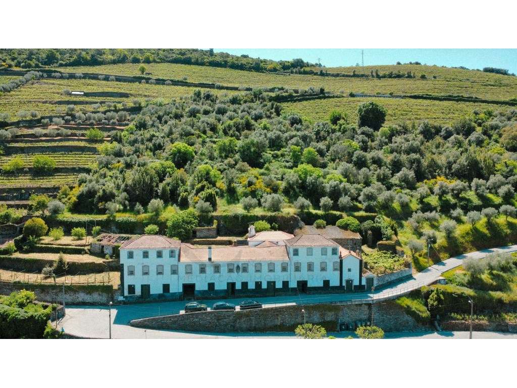 Casa Senhorial Brasonada do Século XVIII na Região do Douro - Grande imagem: 2/57