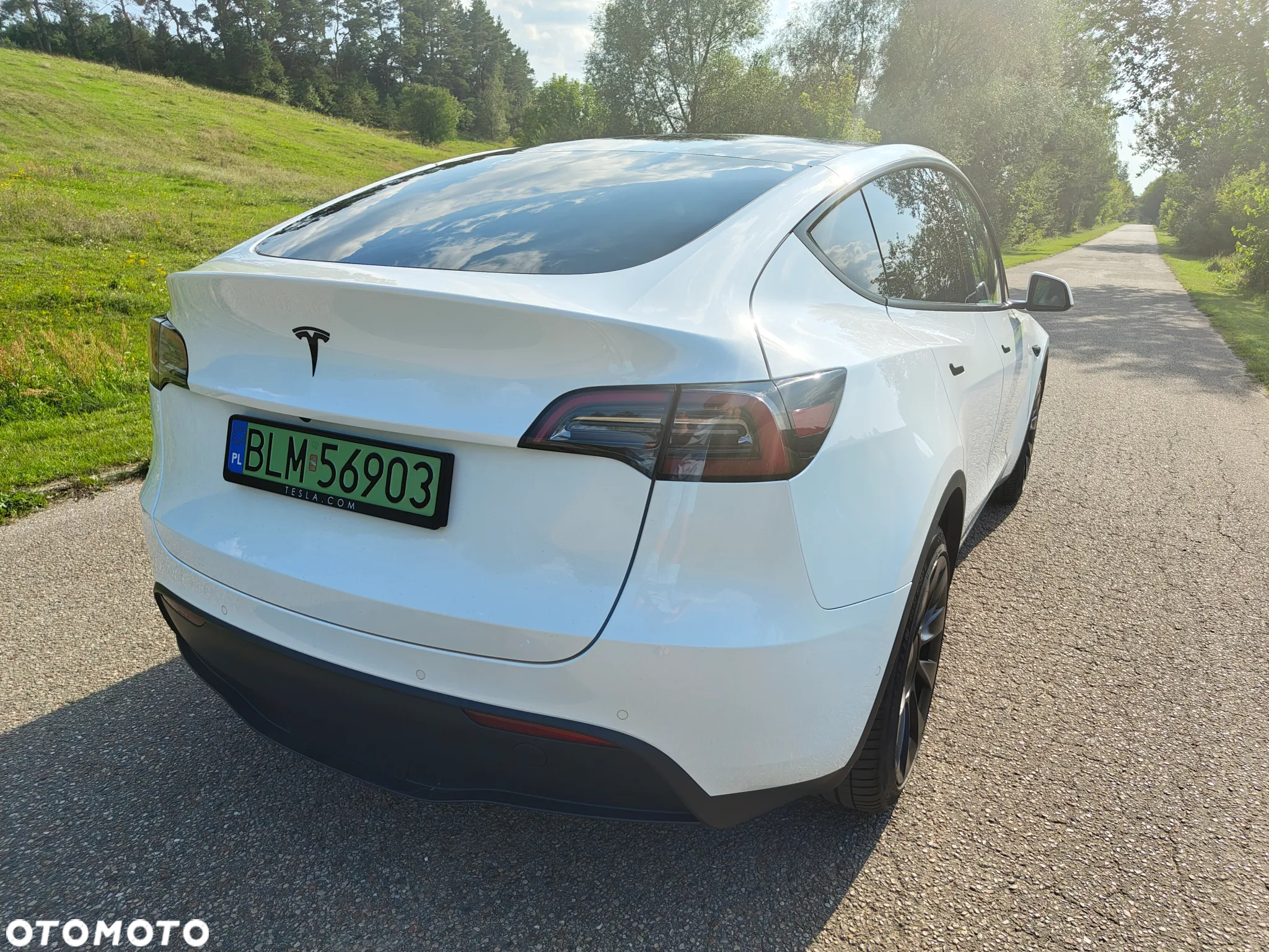 Tesla Y Model Long Range Dual Motor AWD - 9