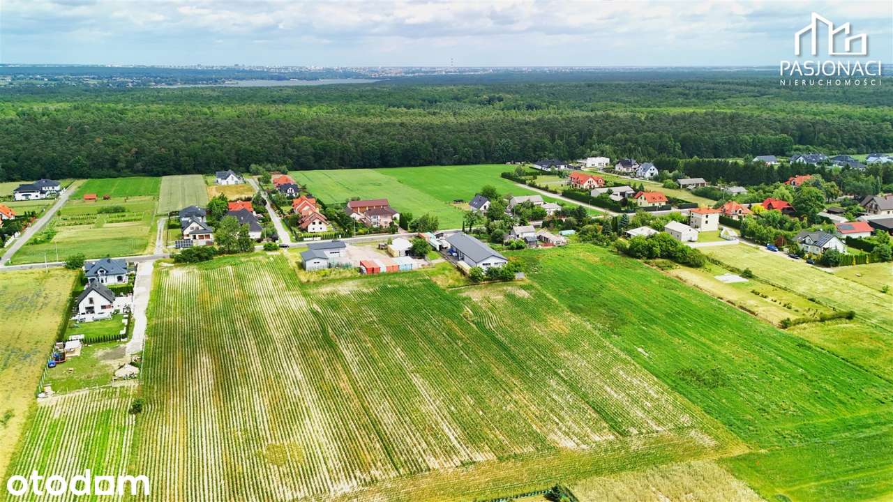 Ustawne działki budowlane Prawiedniki, gm. Głusk - Pełny obrazek: 5/11