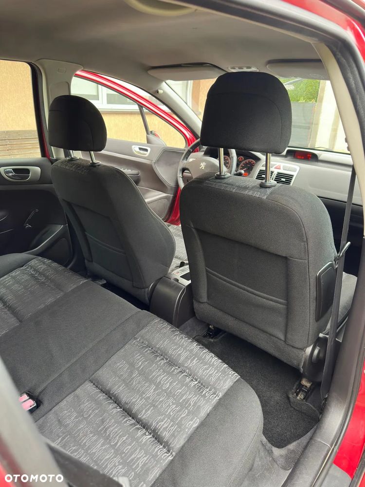 Peugeot 307 1.6 XS - 12