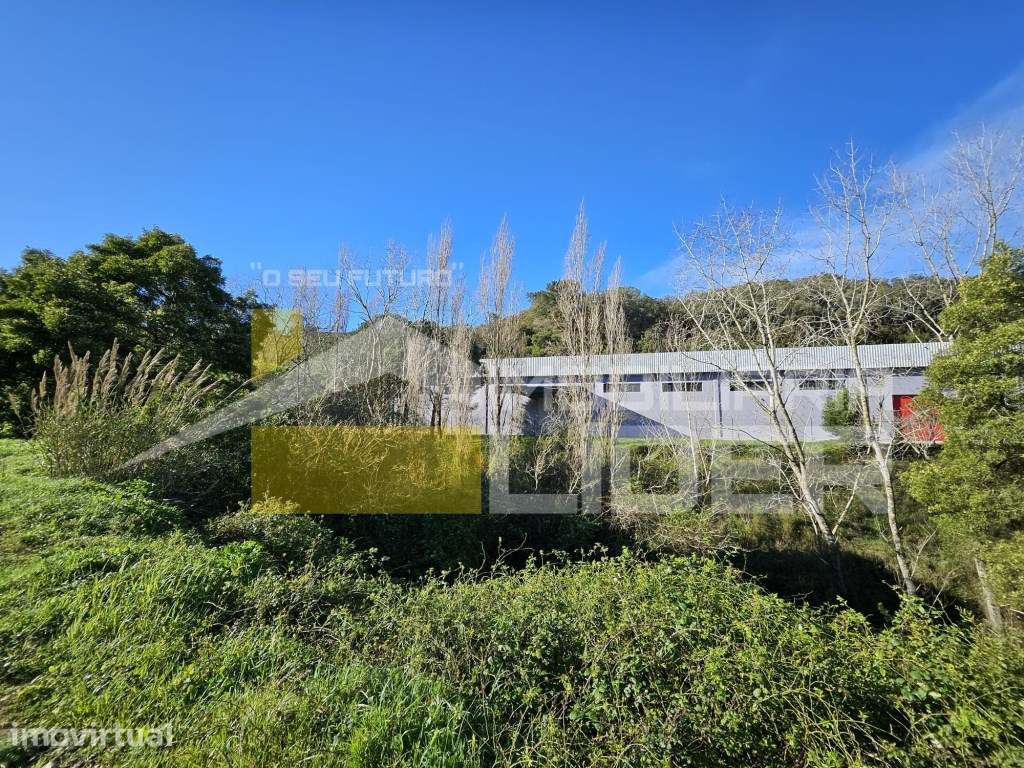 Terreno Rústico de 31580m2 com confrontações com a empresa AGS Malv... - Grande imagem: 2/16