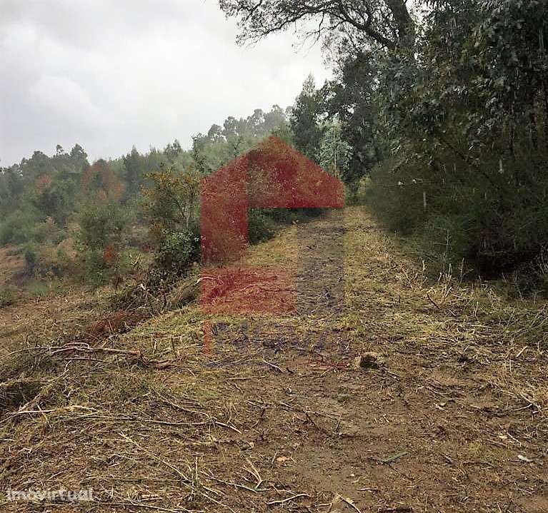 Terreno para construção - Grande imagem: 3/8