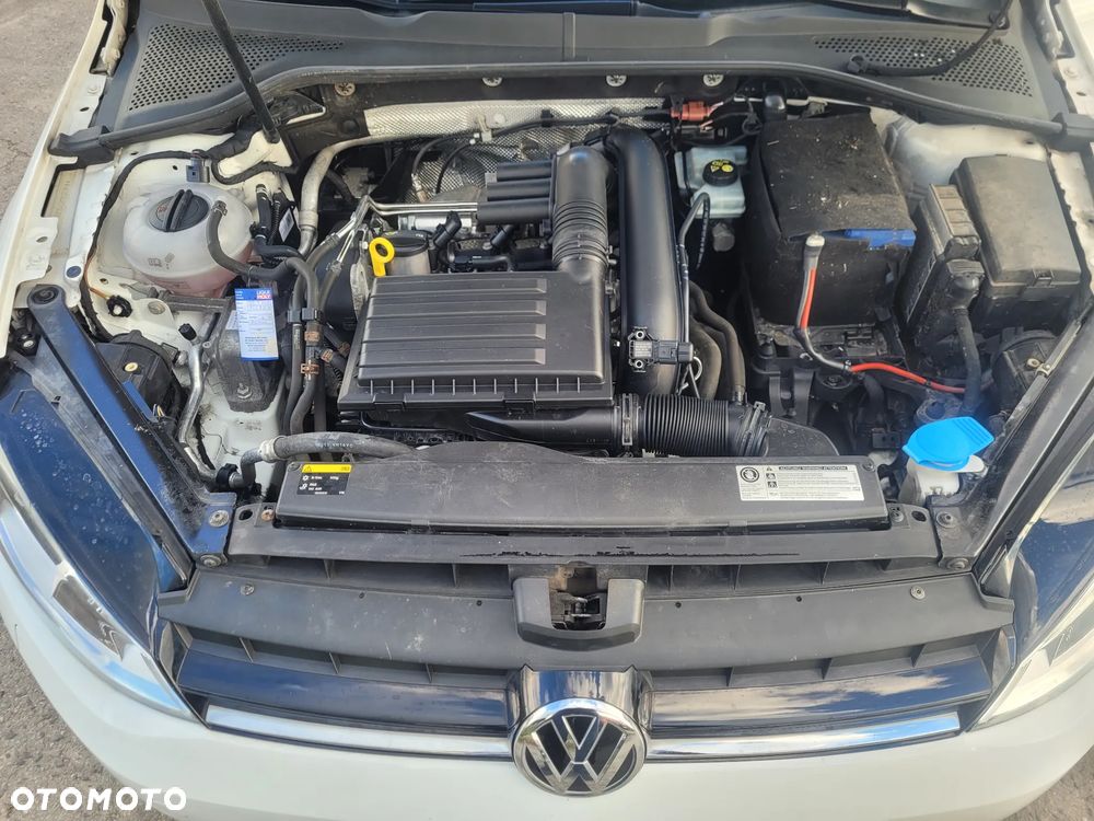 Volkswagen Golf - 31