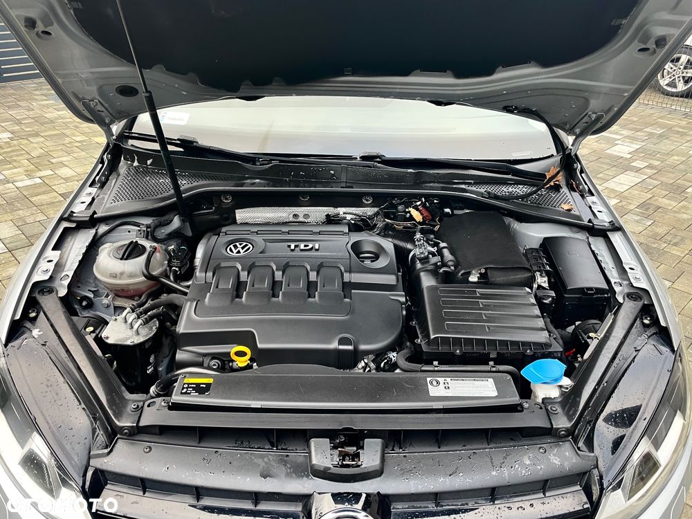 Volkswagen Golf 1.6 TDI BlueMotion Technology Cup - 23