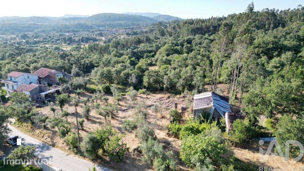 Casa / Villa em Cumeeira de 45 m2 - Grande imagem: 3/22