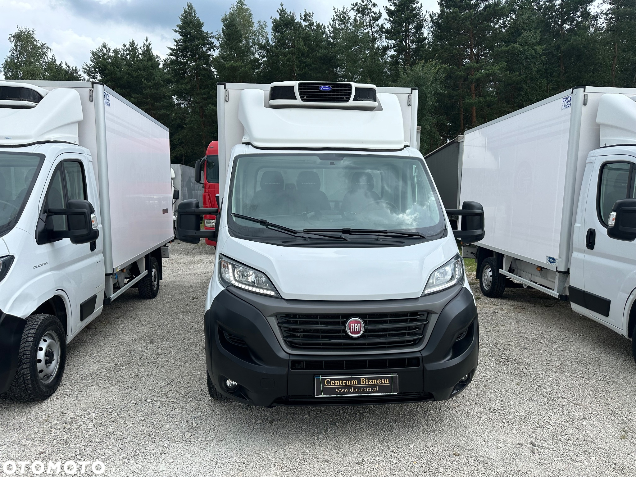 Fiat Ducato Mroźnia -25*C / Nowy Model / perfekcyjny stan - 15