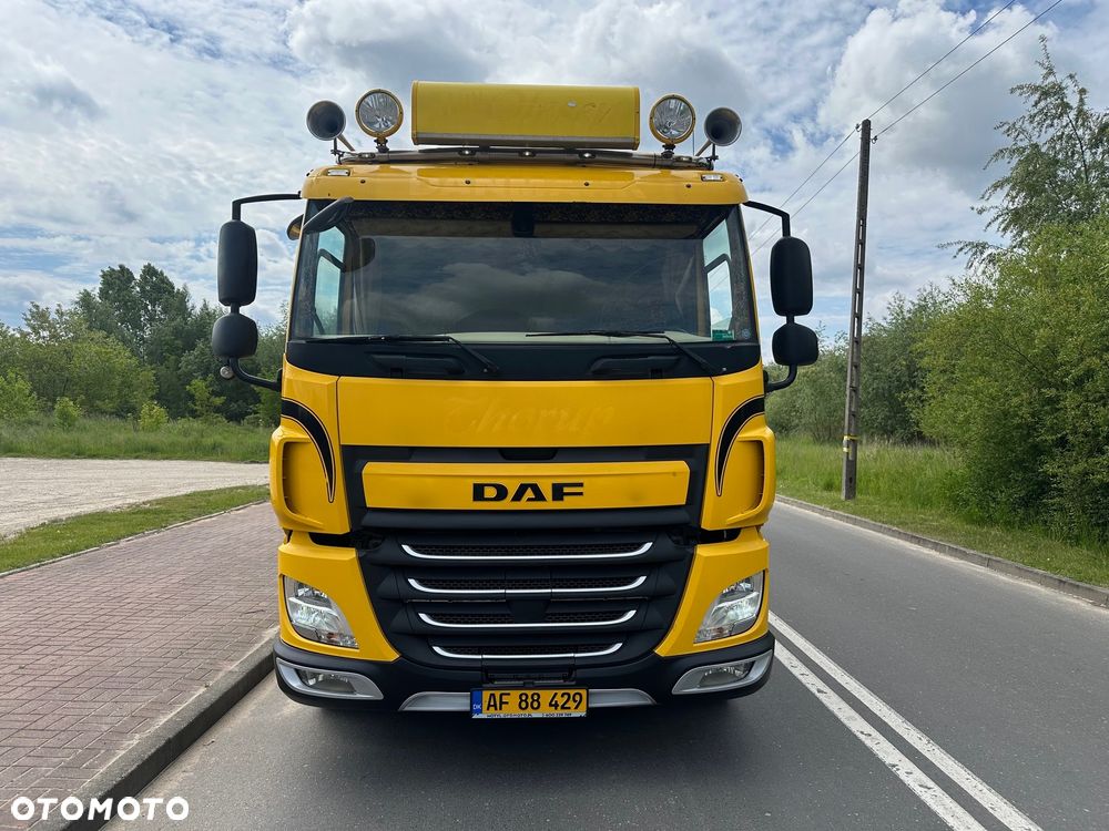 DAF CF 440  DO BYDLA -ZWIERZAT -ZYWCA - 2