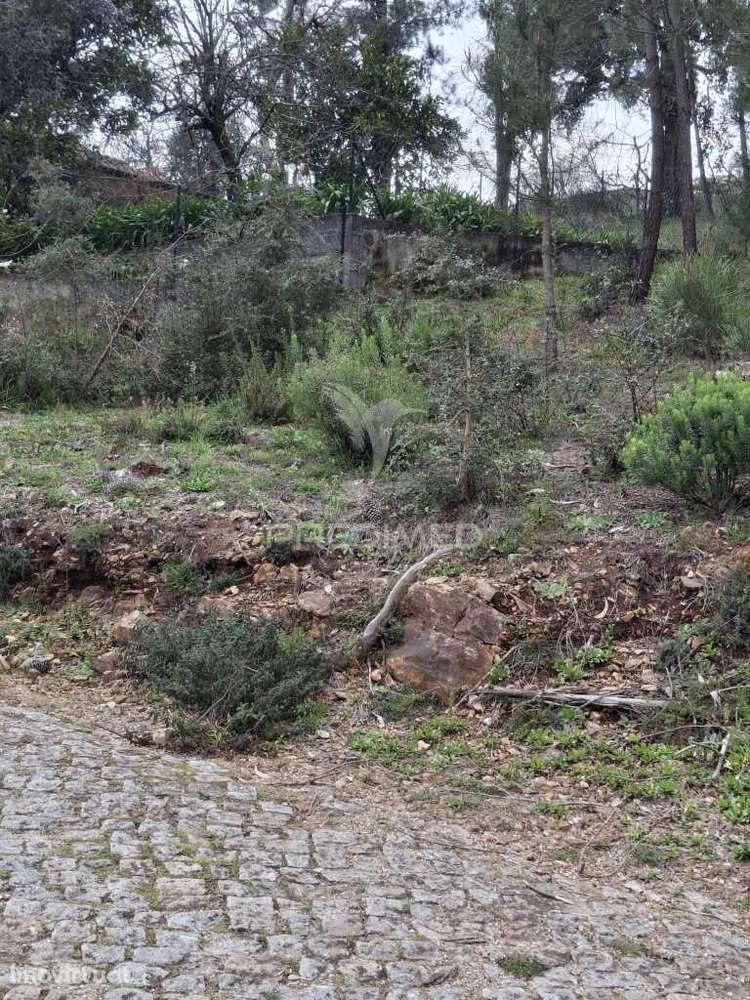 TERRENO URBANO NA ZONA DO FORCADO, TELÕES, AMARANTE, PORTO - Grande imagem: 2/5