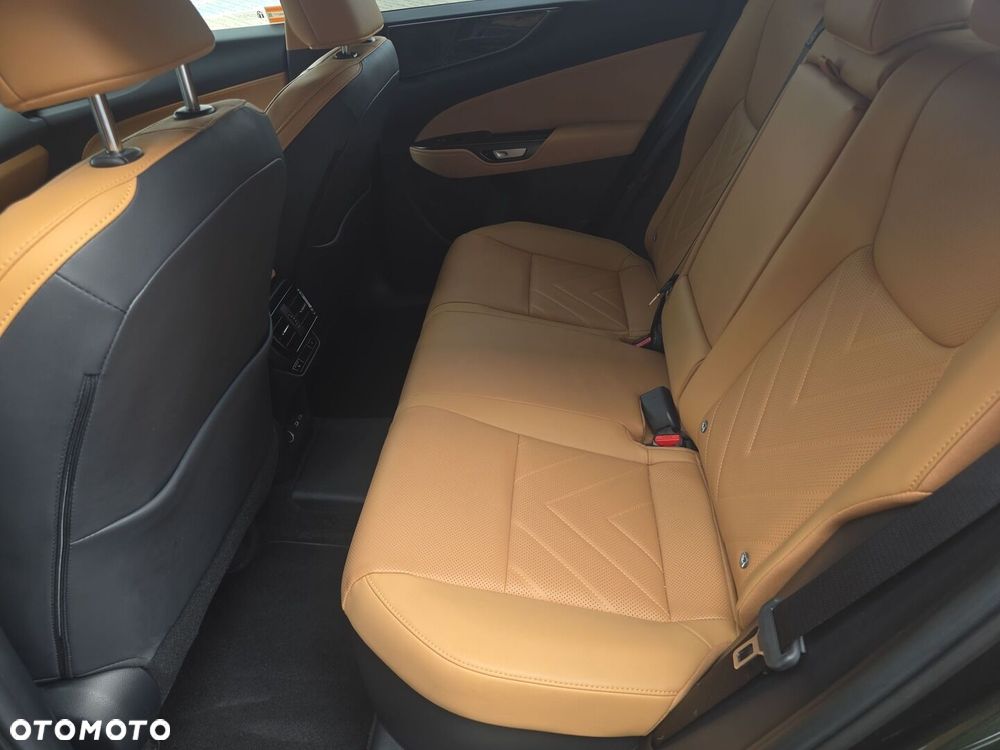 Lexus NX - 16