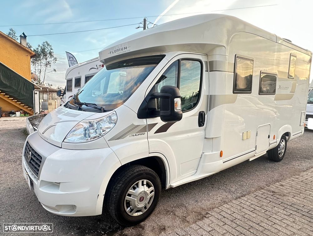 Fleurette Migrateur Mayflower 65LMX