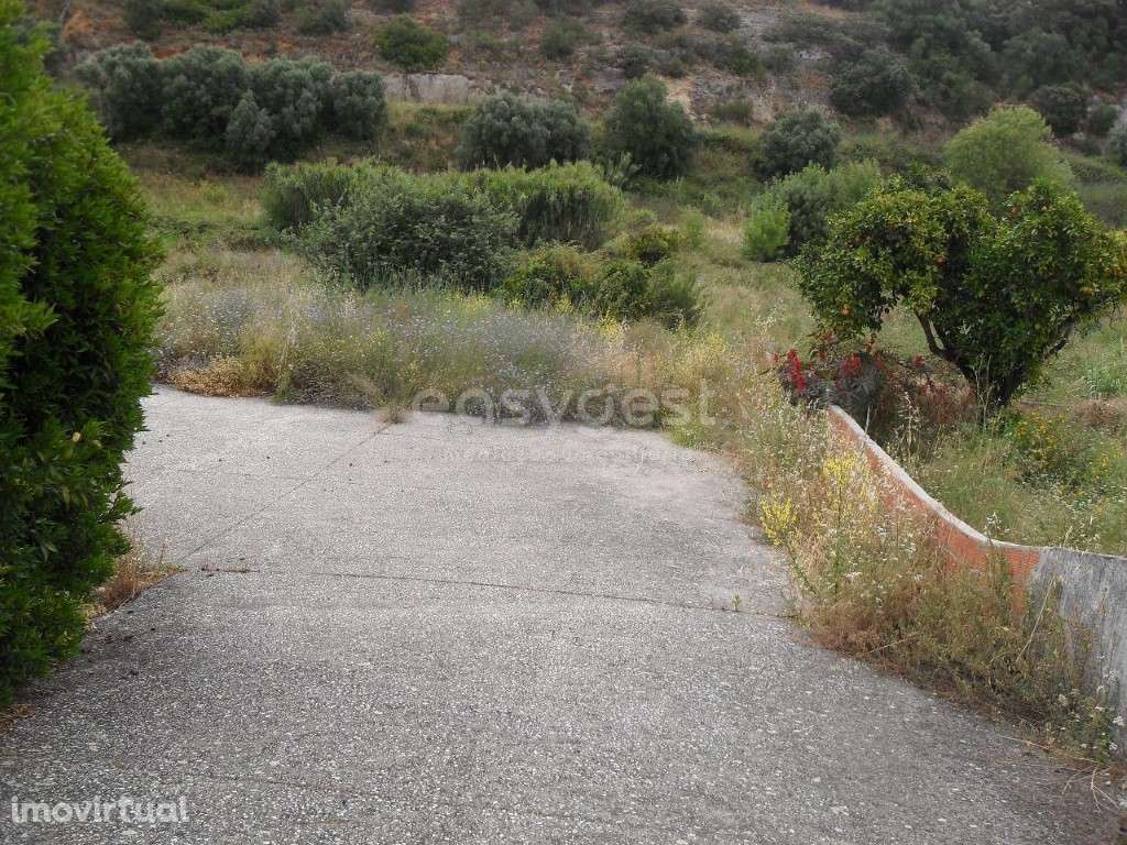 Moradia T3 com terraço, Loja, Cave, Armazéns, Logradouro em Alcanena. - Grande imagem: 3/22