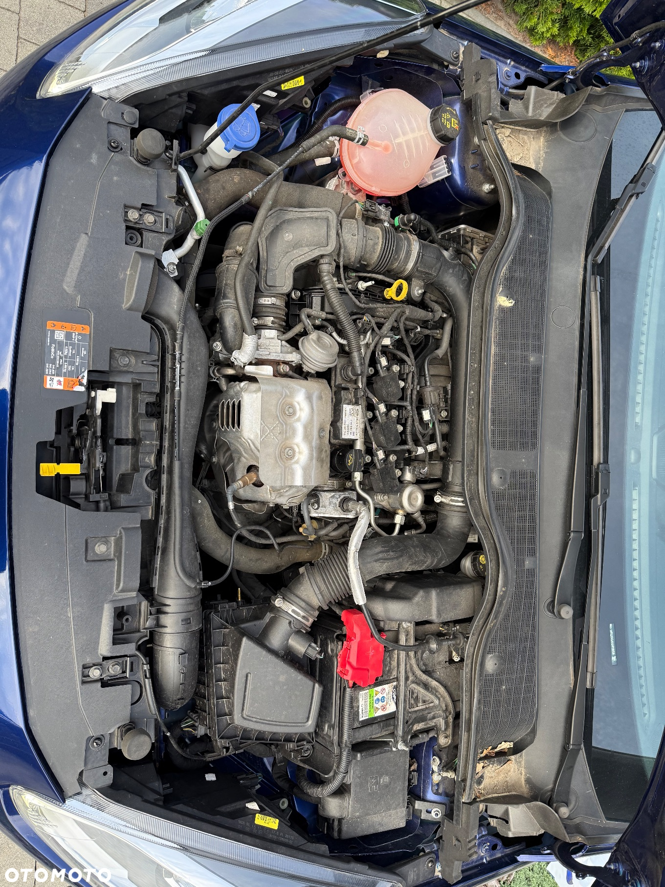Ford Fiesta 1.0 EcoBoost S&S TITANIUM - 16