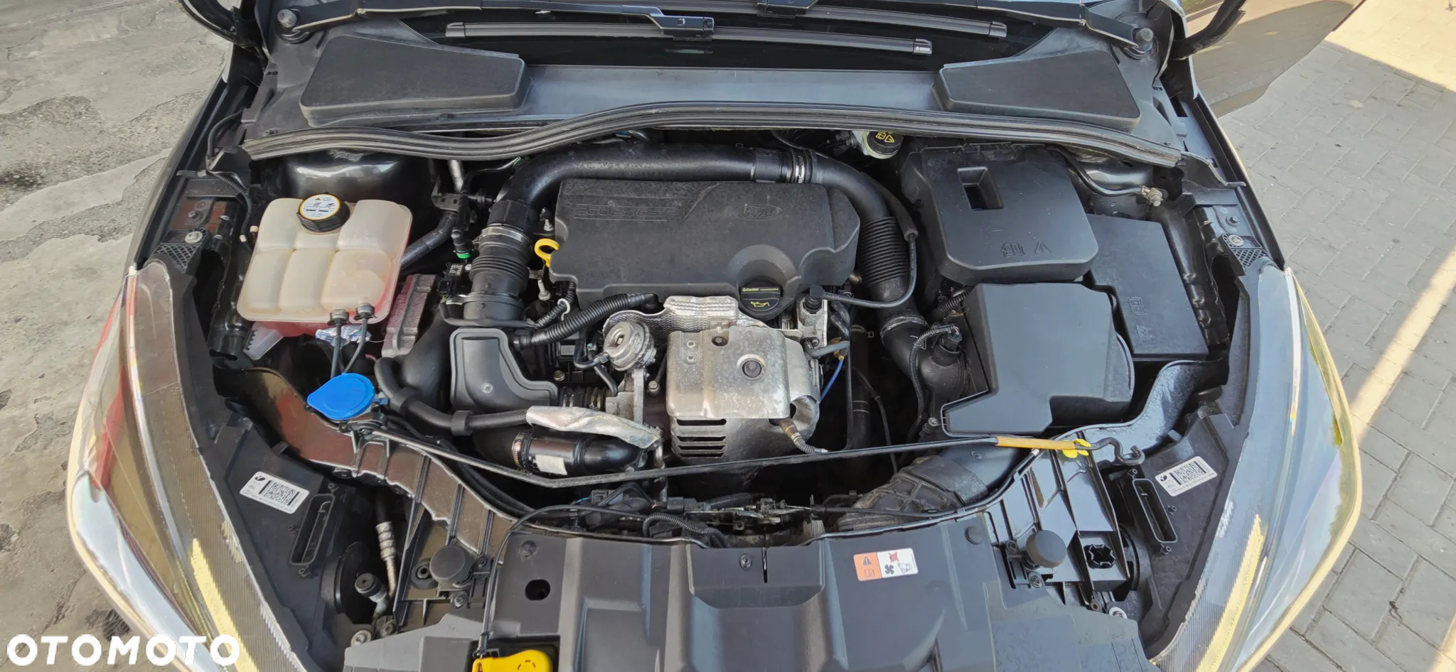Ford Focus Turnier 1.0 EcoBoost Start-Stopp-System TITANIUM X - 35