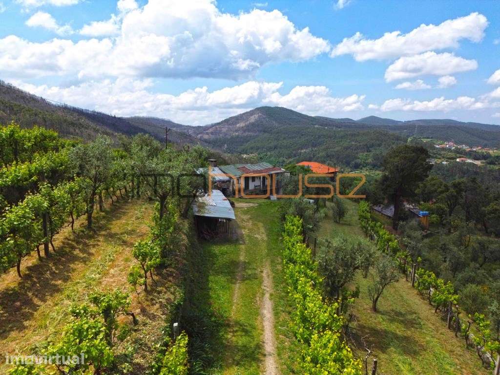 Quinta agrícola - 40 minutos do Porto - Grande imagem: 5/59