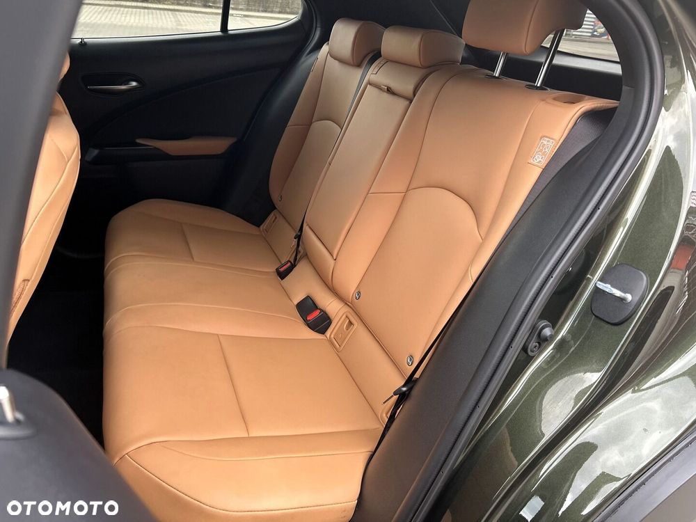 Lexus UX 250h GPF F Sport Design+ 2WD - 15