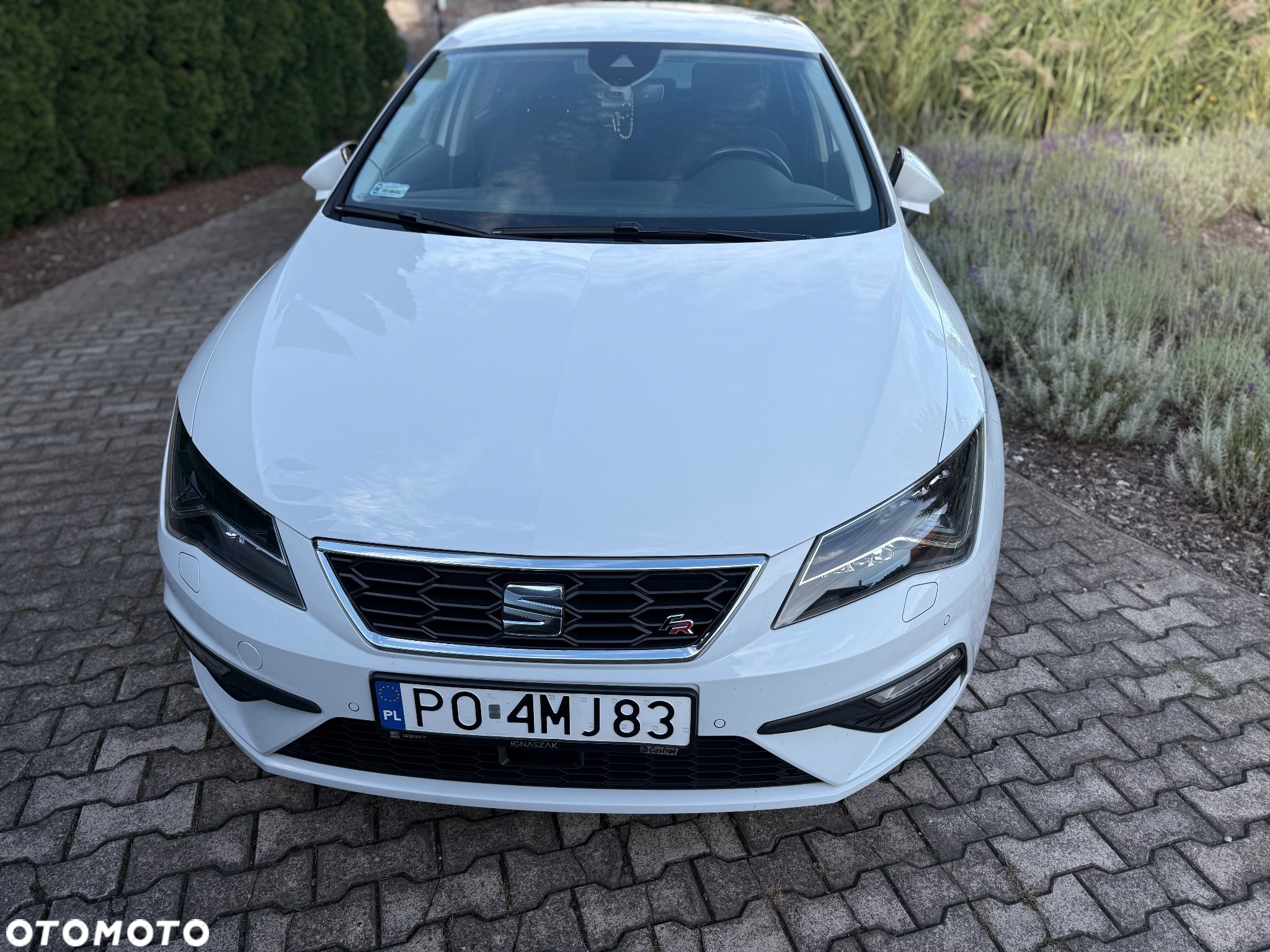 Seat Leon 1.5 EcoTSI Evo FR S&S DSG - 2