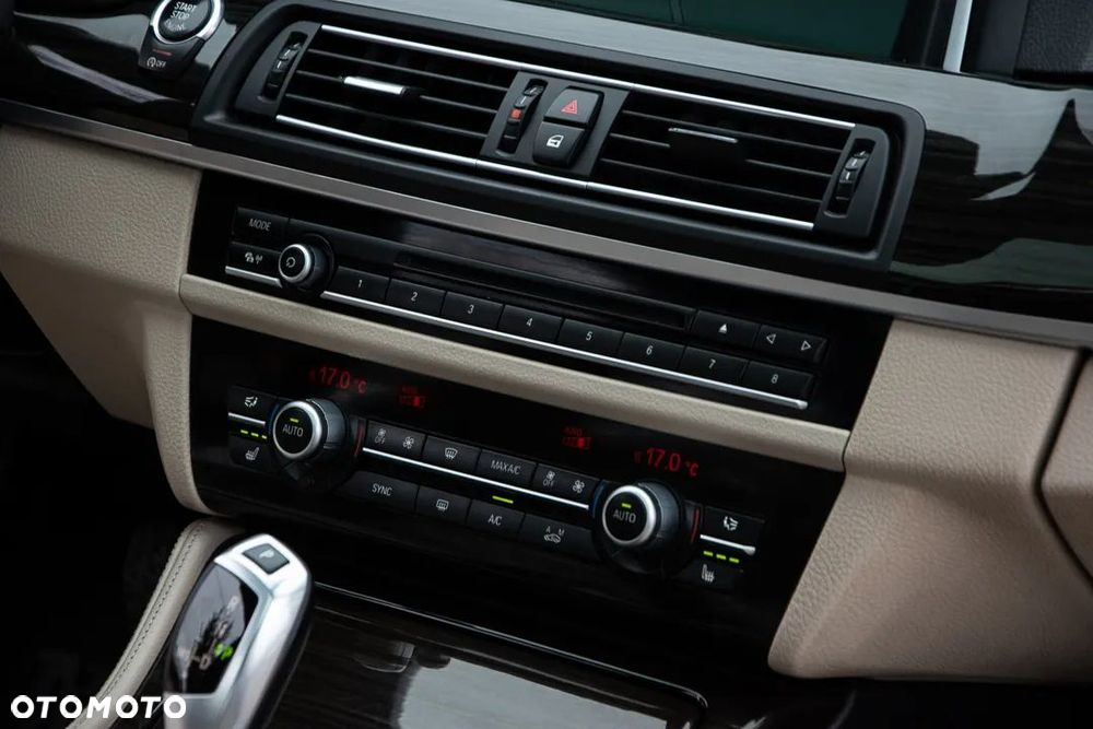 BMW Seria 5 520d Luxury Line - 21