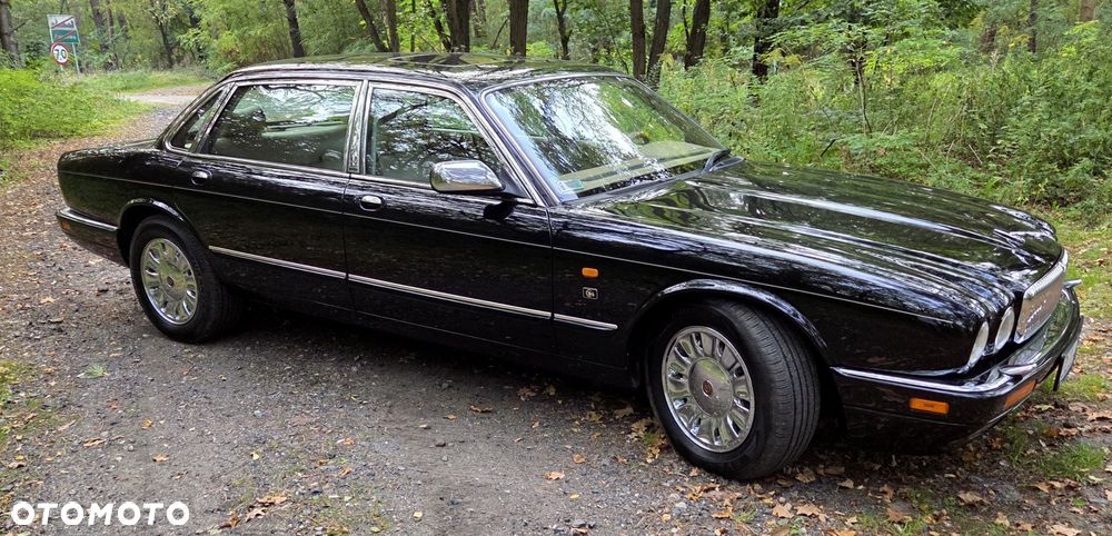 Jaguar Daimler - 5