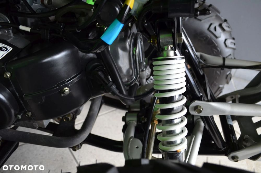 Arctic Cat Inny - 10