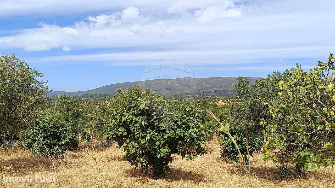 Terreno  para venda - Grande imagem: 3/6