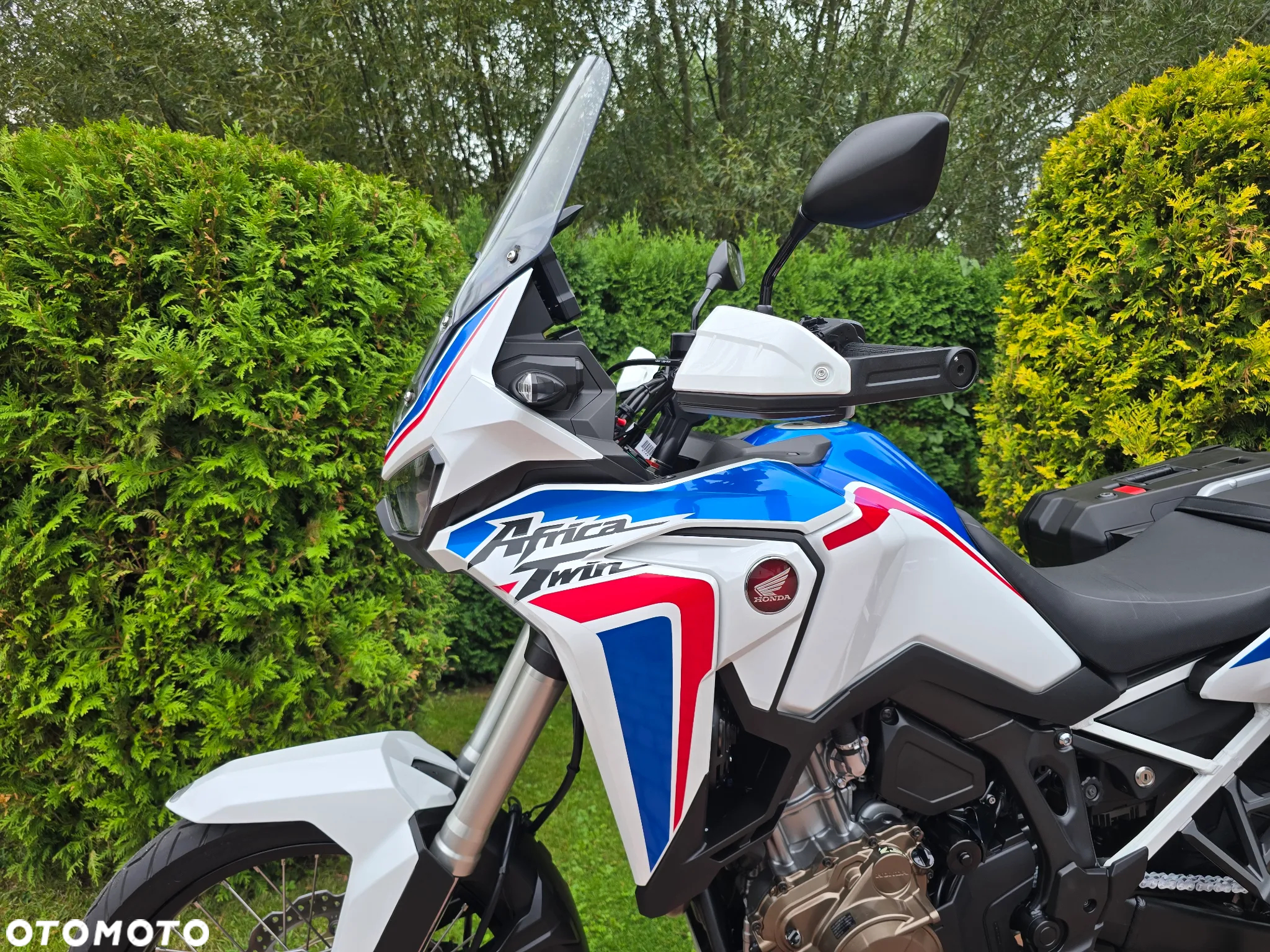 Honda CRF - 10