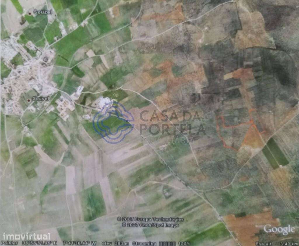 Terreno à venda, Olival em Sousel Portalegre. - Grande imagem: 2/2