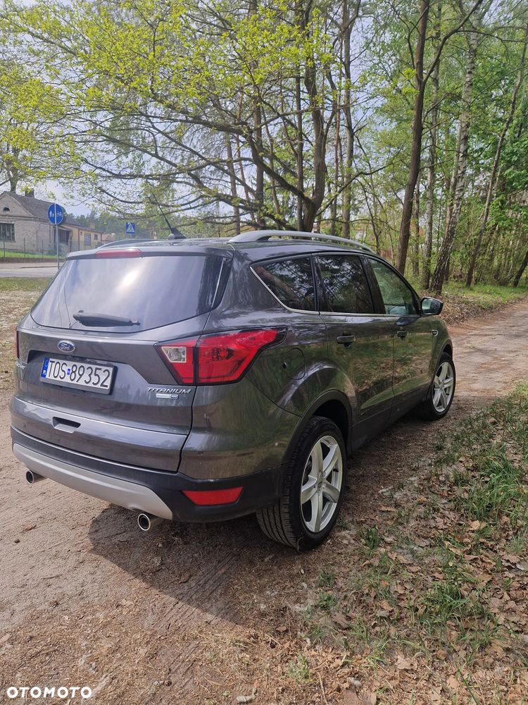 Ford Escape - 7