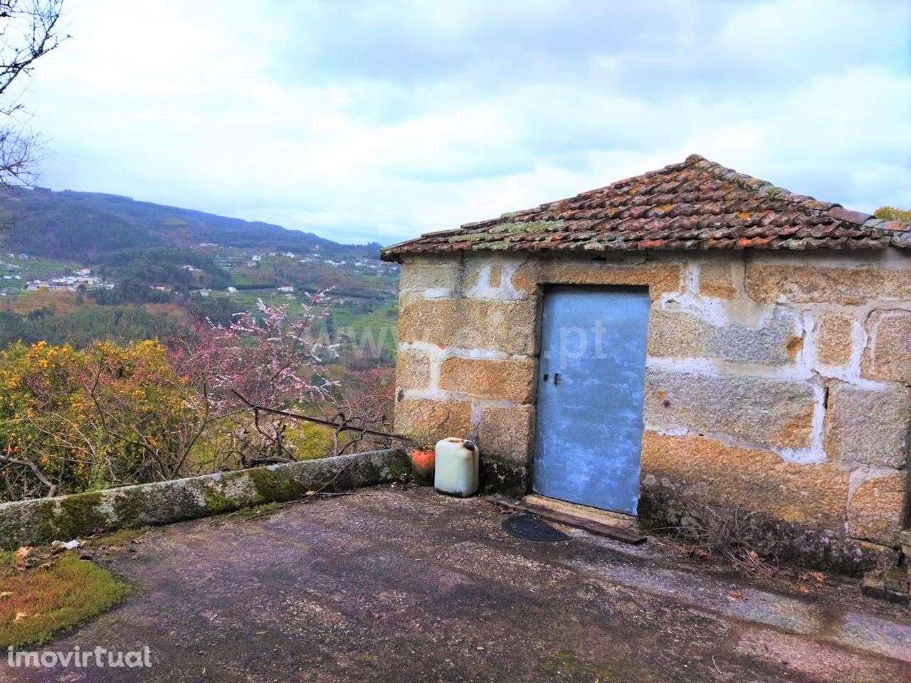 Terreno / Baião, Baião (Santa Leocádia) e Mesquinhata - Grande imagem: 5/11