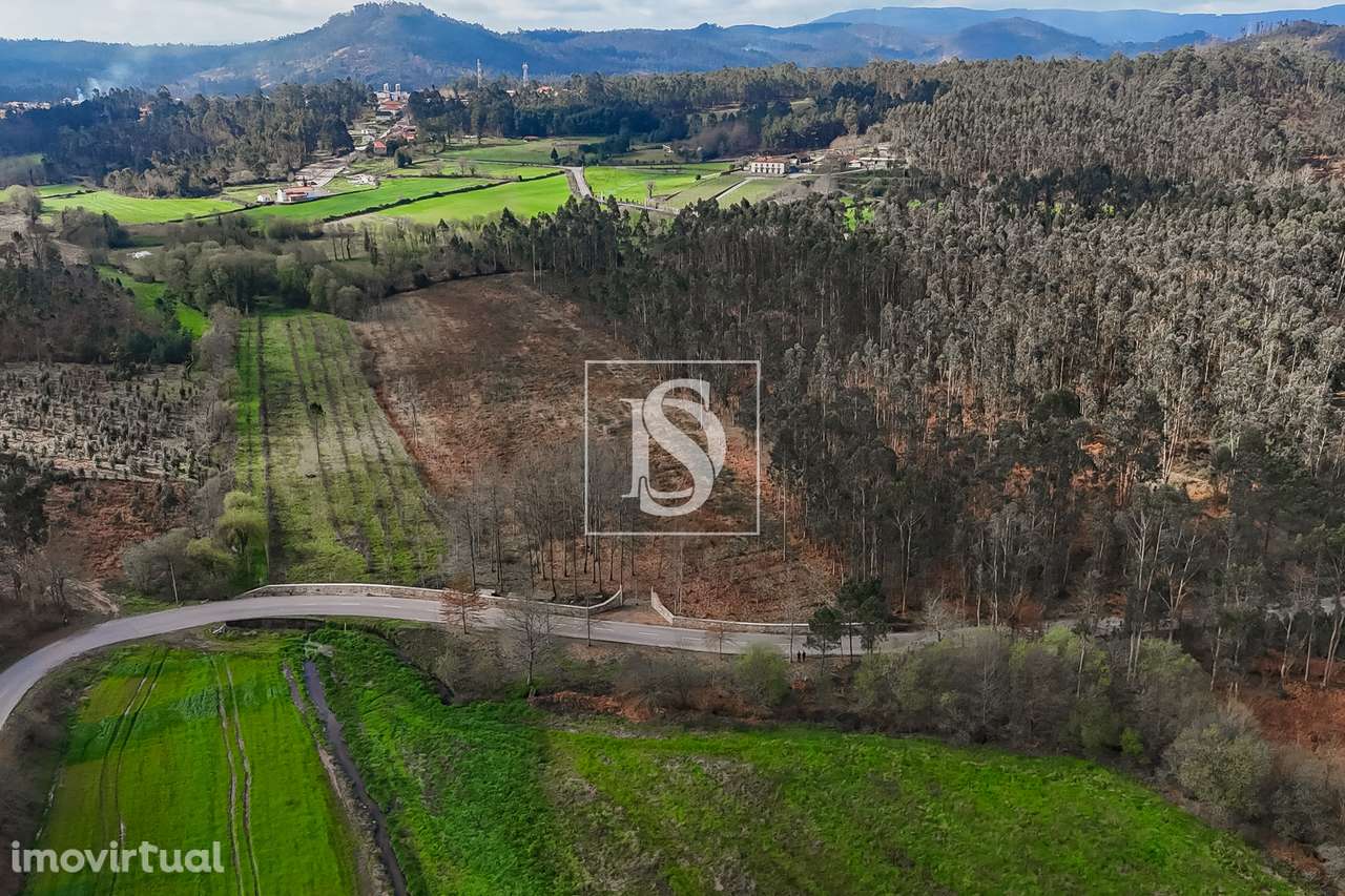 Terreno Rústico  Venda em Associação de freguesias do Vale do Neiva,Po - Grande imagem: 3/30