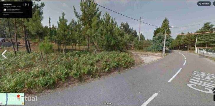 Terreno para construção - Lote 3 - Frias de Baixo - Albergaria-a-Velha - Grande imagem: 2/2