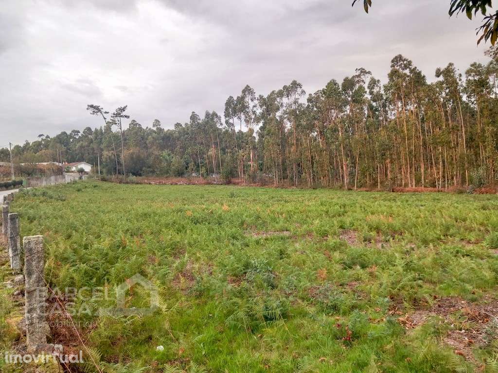 Terreno de construção em Igreja Nova - Barcelos - Grande imagem: 2/9