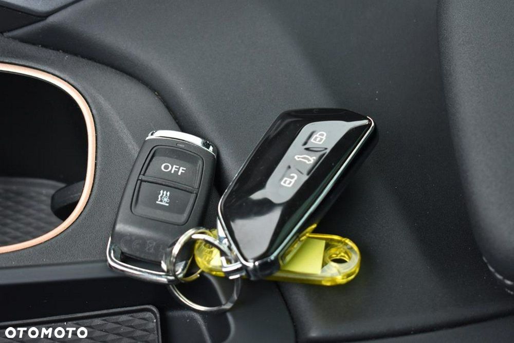 Cupra Terramar 2.0 TSI 4Drive VZ America's Cup DSG - 33