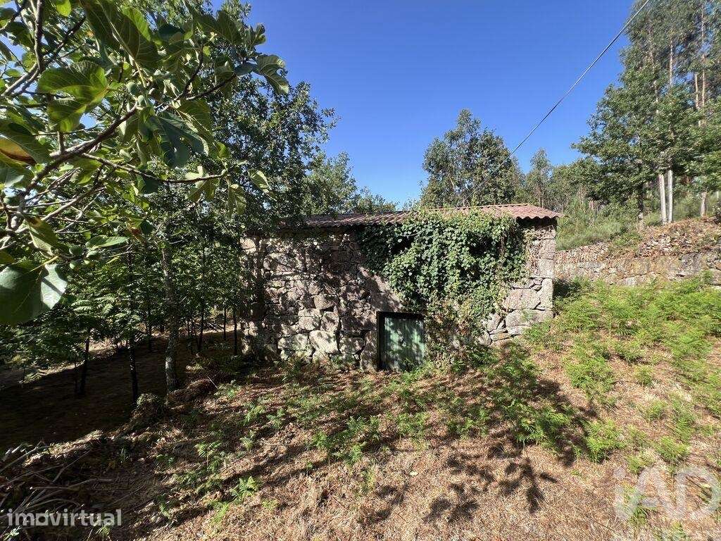 Quinta rural em Serrazes de 223 m2 - Grande imagem: 5/15