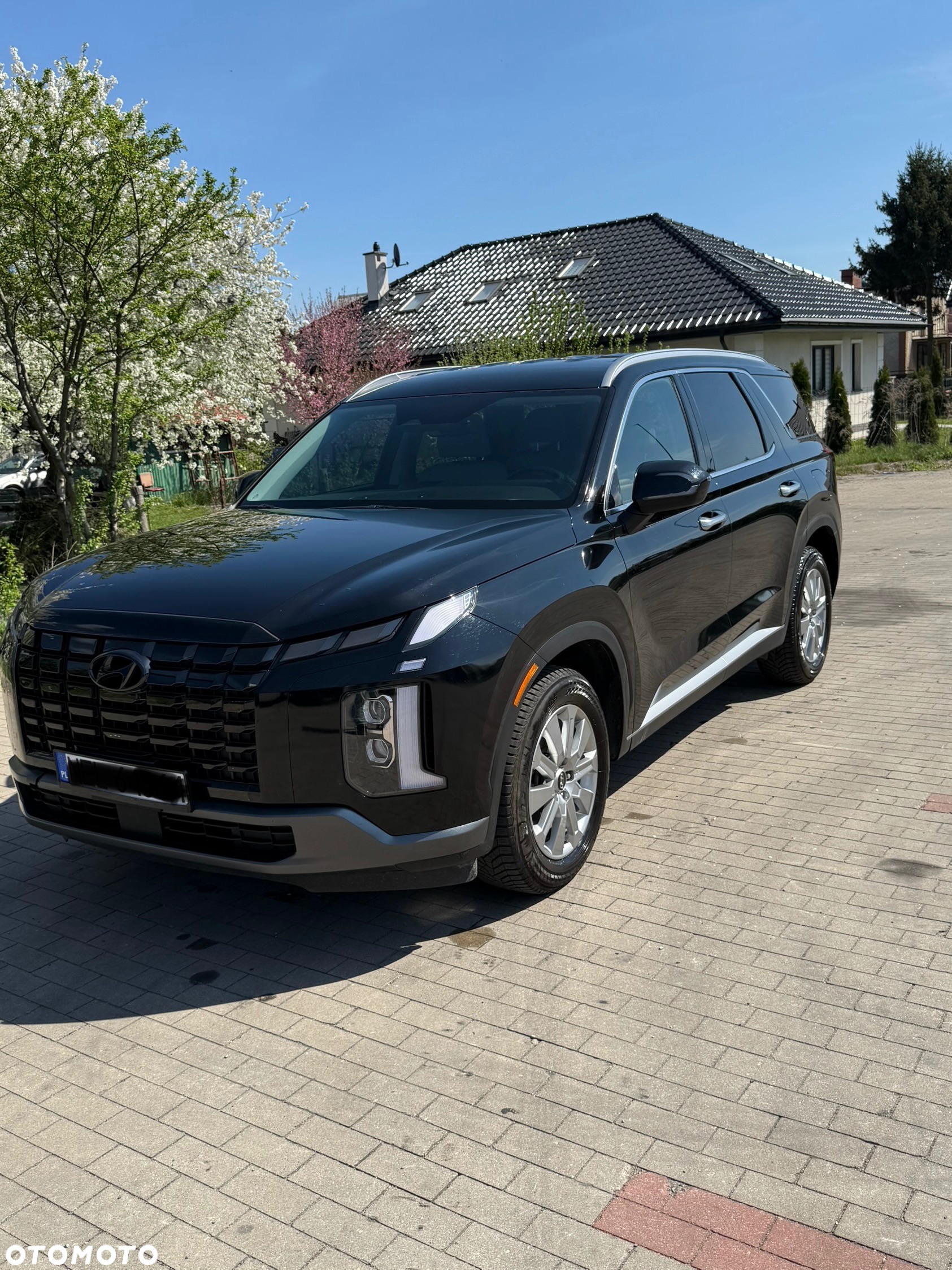 Hyundai Palisade - 11