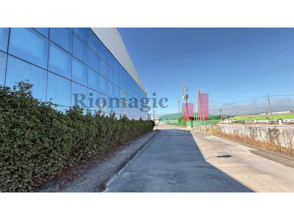 Pavilhão Rio Maior***RIOMAGIC*** - Grande imagem: 4/60