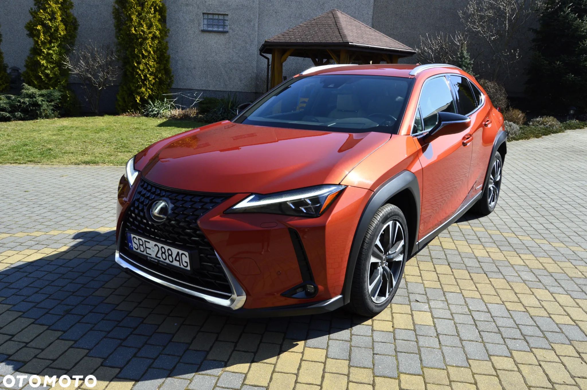 Lexus UX 250h Prestige 2WD - 1