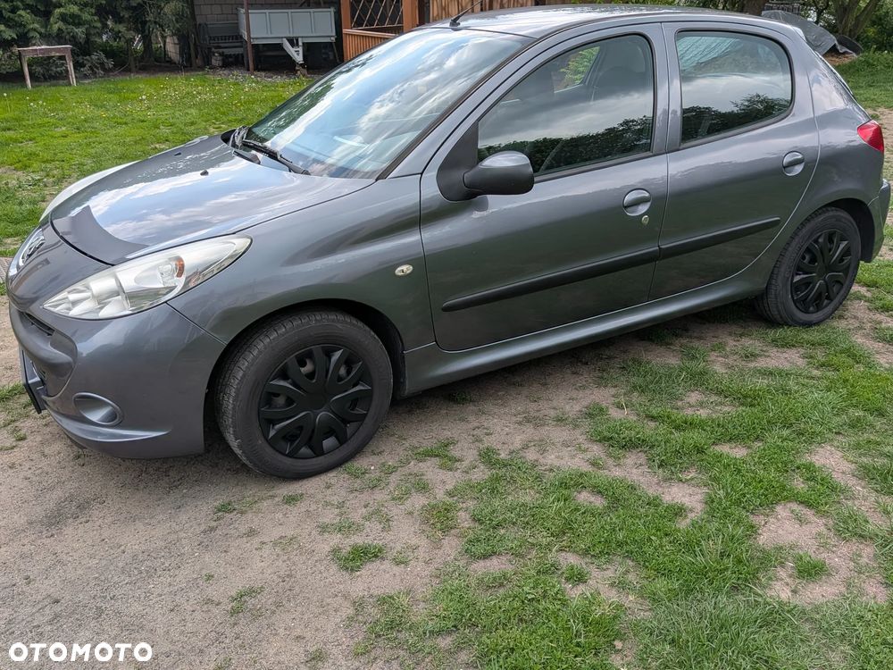 Peugeot 206 plus - 2