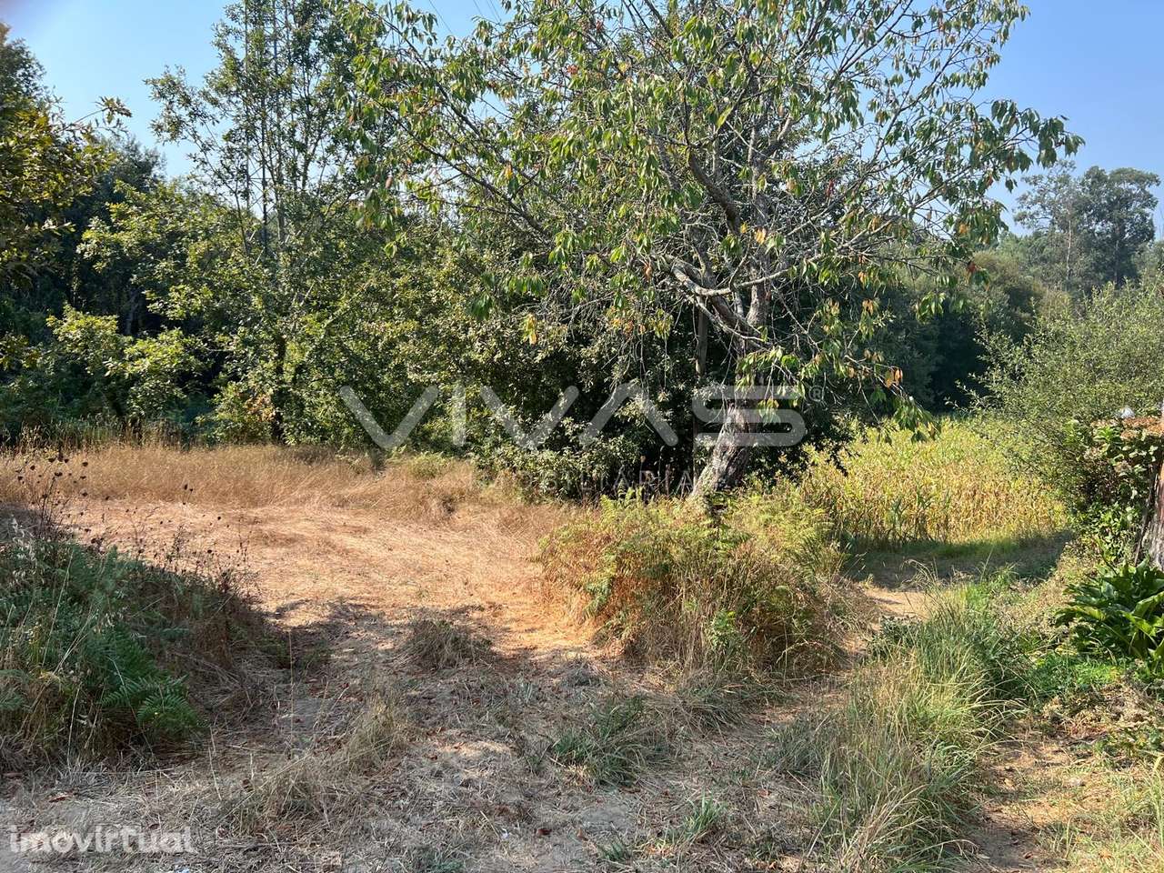 Terreno Rústico  Venda em Oleiros,Vila Verde - Grande imagem: 5/5
