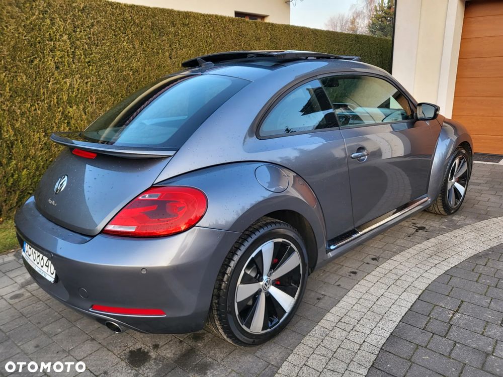 Volkswagen New Beetle - 18