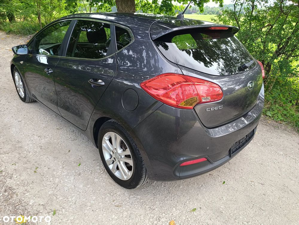Kia Ceed 1.6 CRDi 128 Fifa World Cup Edition - 35